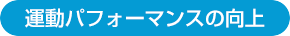 運動パフォーマンスの向上