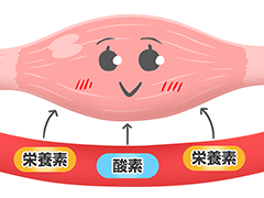 良い状態の筋肉