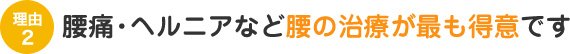 腰痛・ヘルニアなど腰の治療が最も得意です